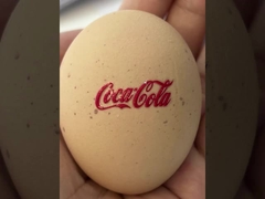 چاپگر DTF UV 8 جوهر رنگی با فیلم چاپ AB و ارتفاع انعطاف پذیر رسانه 6 میلی متری